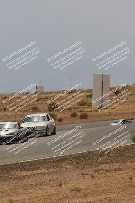 media/May-03-2025-Lucky Dog Racing (Sat) [[206de64b9d]]/Turn 6 (150pm-230pm)/